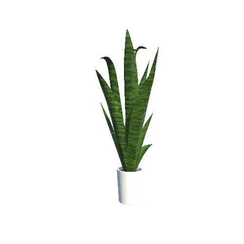 Plant 2